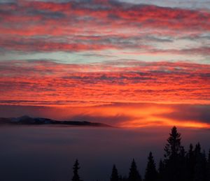 Scenic view of dramatic sky during sunset