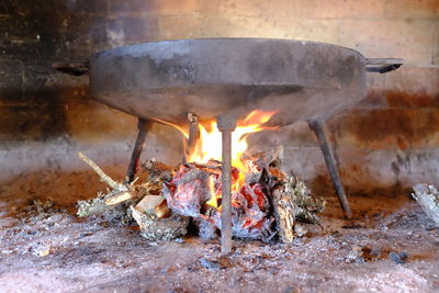 Close-up of fire on log