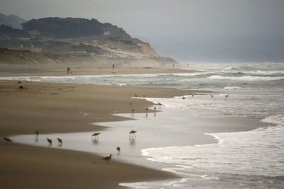 Scenic view of beach against sky