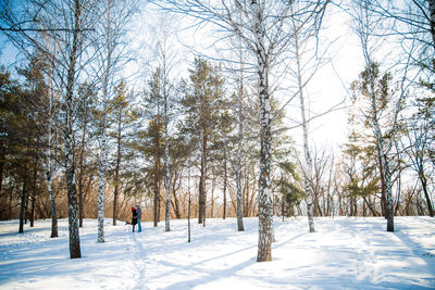 Couple standing on snow covered field in forest