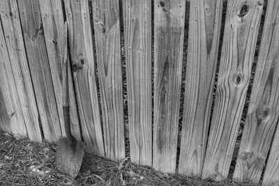 Close-up of wooden plank