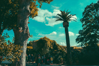 People by palm trees against sky