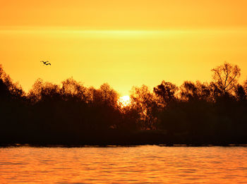 Silhouette bird flying over river against sky during sunset