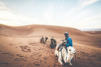 Rear view of man riding horse in desert against sky