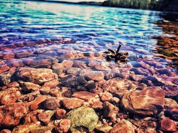 Rocks in water