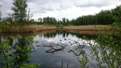 Scenic view of lake against cloudy sky