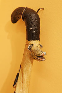 Close-up of an animal representation