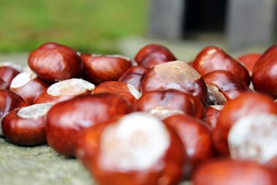 Close-up of food