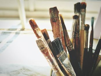 Close-up of paintbrushes