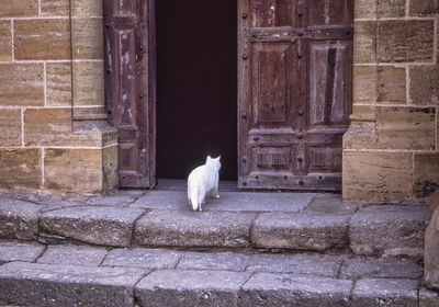 Open door on wall of building