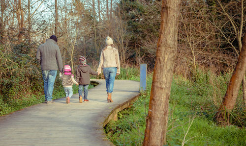 Rear view of people walking on footpath amidst trees