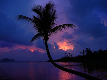 Silhouette palm tree on beach against cloudy sky at sunset