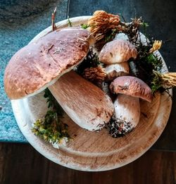 High angle view of fish in plate on table