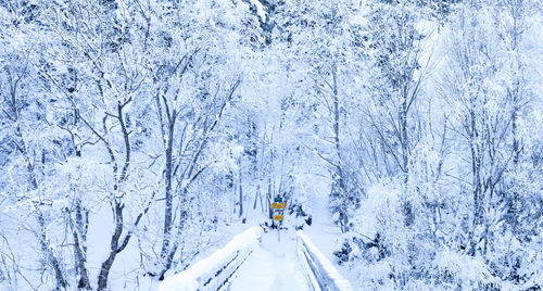 Snow covered landscape