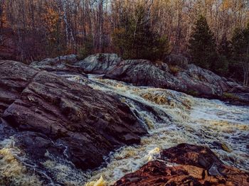 Stream flowing through rocks in forest