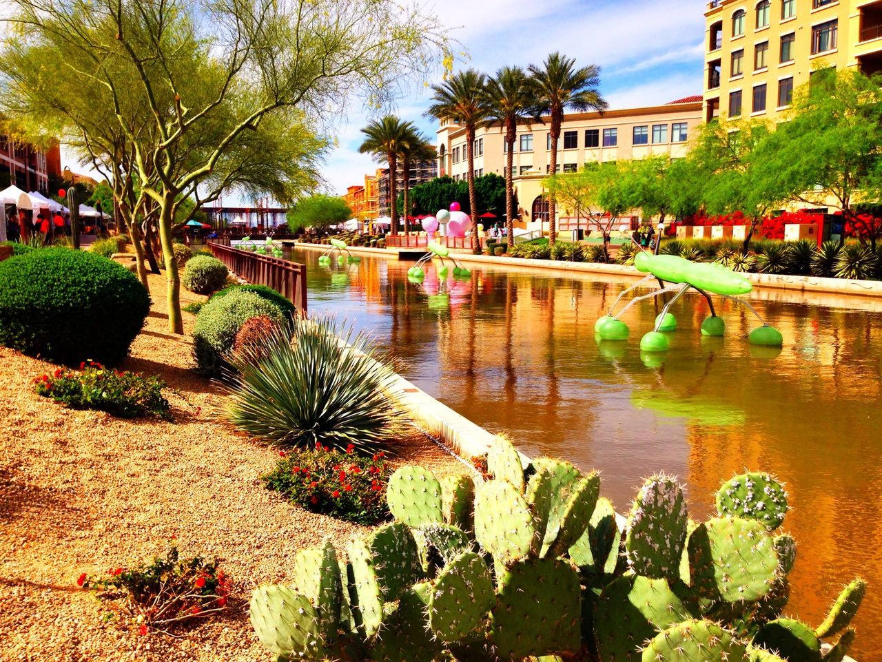 water, building exterior, architecture, built structure, tree, pond, canal, reflection, incidental people, city, growth, flower, plant, fountain, waterfront, nature, day, formal garden, outdoors, park - man made space