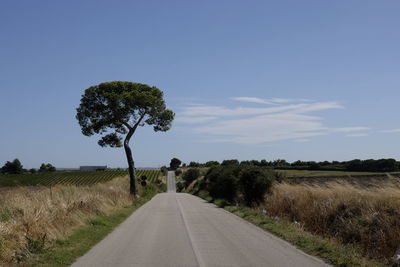 Road amidst trees against clear blue sky