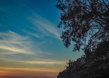 Low angle view of silhouette trees against sky