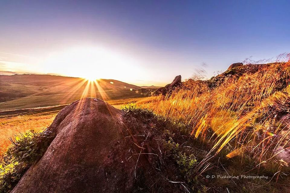 landscape, sun, tranquility, tranquil scene, sunlight, scenics, sunbeam, clear sky, nature, beauty in nature, the way forward, lens flare, field, sky, dirt road, non-urban scene, sunset, blue, rural scene, remote