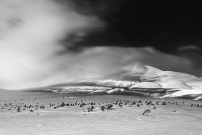 Scenic view of arid landscape against sky