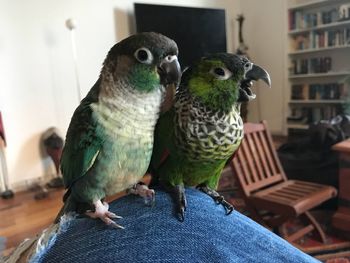 Full length of man perching on hand