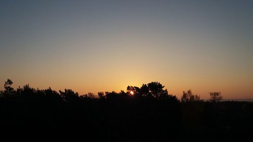 Silhouette trees against clear sky during sunset