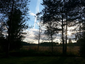 Scenic view of grassy field against sky