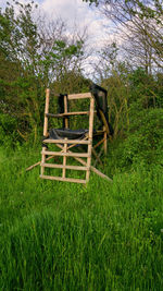 Empty bench on field by trees