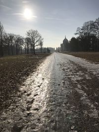 Surface level of road amidst trees on field during winter