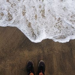 Low section of person standing on beach