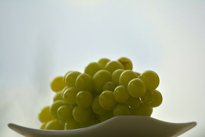 Close-up of fruit over white background