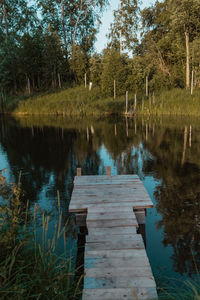 Scenic view of lake in forest