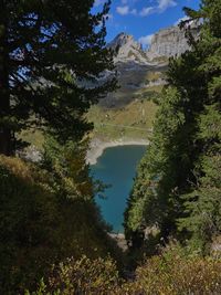 Scenic view of lake by trees against sky