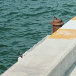 High angle view of a bird on boat