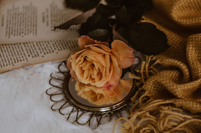 High angle view of rose on table