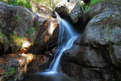 Scenic view of waterfall in forest