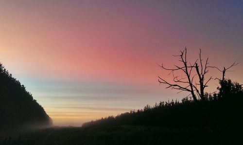 Silhouette of trees at sunset