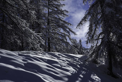 Scenic view of snow covered mountains against sky