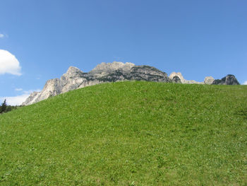 Alpine pasture against italian dolomites at summer . south tyrol , bolzano , italy