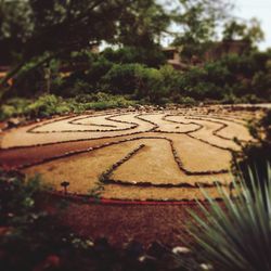 Close-up of plant against blurred background