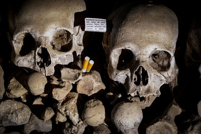 Close-up of human skull