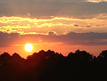 Silhouette trees against sky during sunset