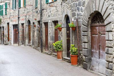 Potted plants against old building