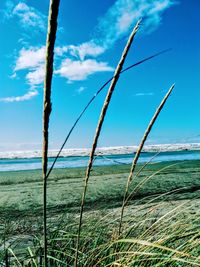 Scenic view of sea against blue sky