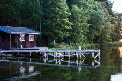 Reflection of trees in water