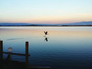 Scenic view of sea at sunset