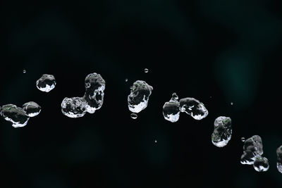 Close-up of water drops on leaf