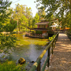 Footbridge over lake with trees in background