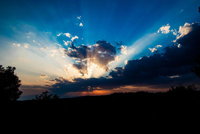 Low angle view of silhouette trees against sky during sunset