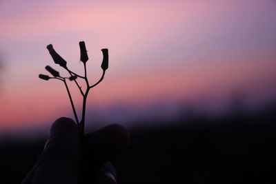 Silhouette person against sky during sunset